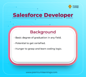 salesforce developer