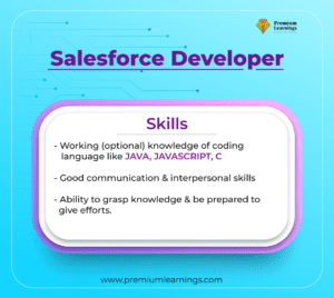 salesforce developer