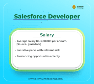 salesforce developer